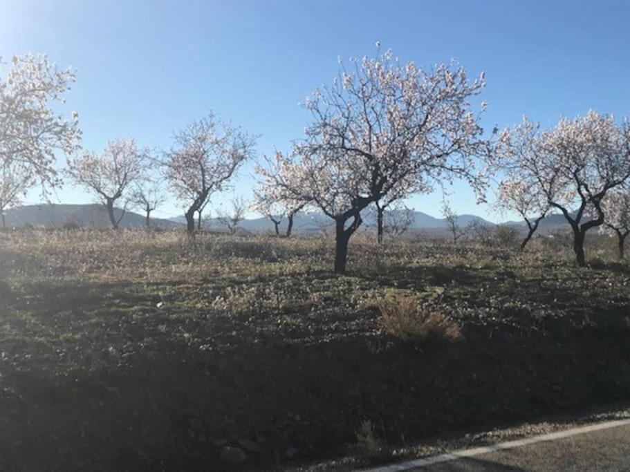 Ferienwohnung Cortijo Calma - Countryside Peace & Tranquility Oria Exterior foto